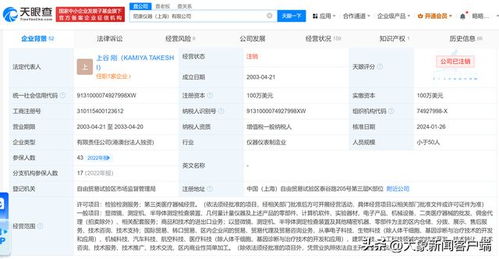 尼康儀器上海公司注銷 計算機軟件產業變革的信號？